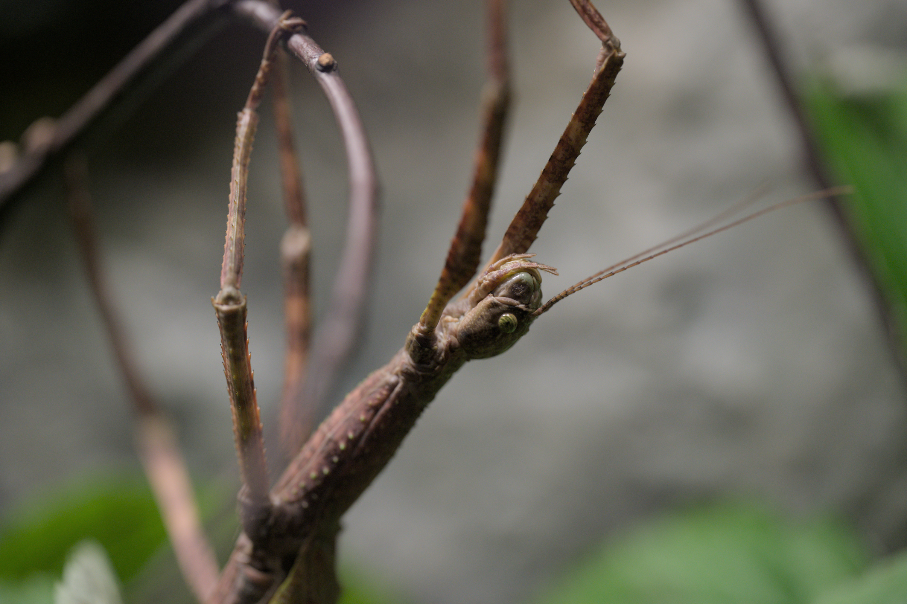 2025/10/12 - zoo/DSC_0200.jpg